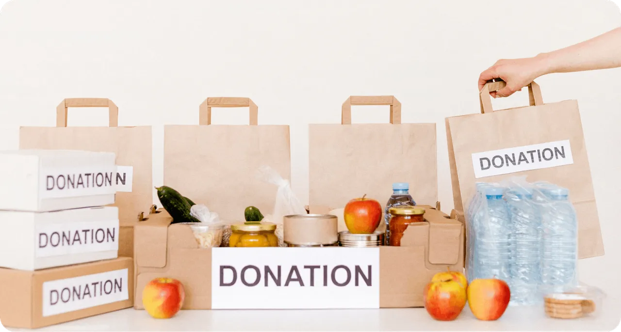 UBI-Donation-Img
